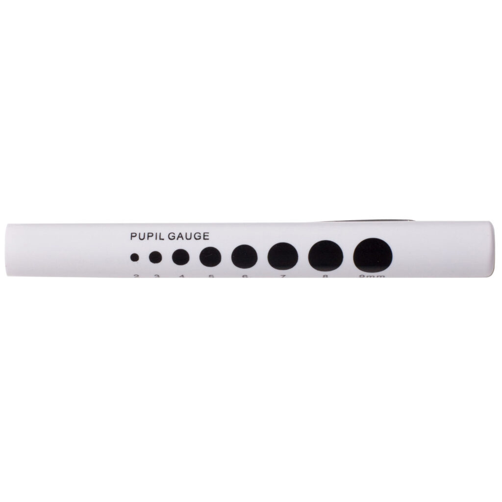 Torch-Penlight-disposable