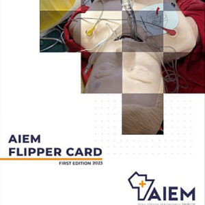 Cover of the AIEM Flipper Card 2025