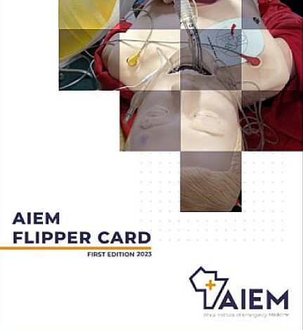 Cover of the AIEM Flipper Card 2025